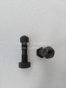 现货东风雷诺D5010477195摇臂调整螺栓总成 带螺母设计的专业配件解析